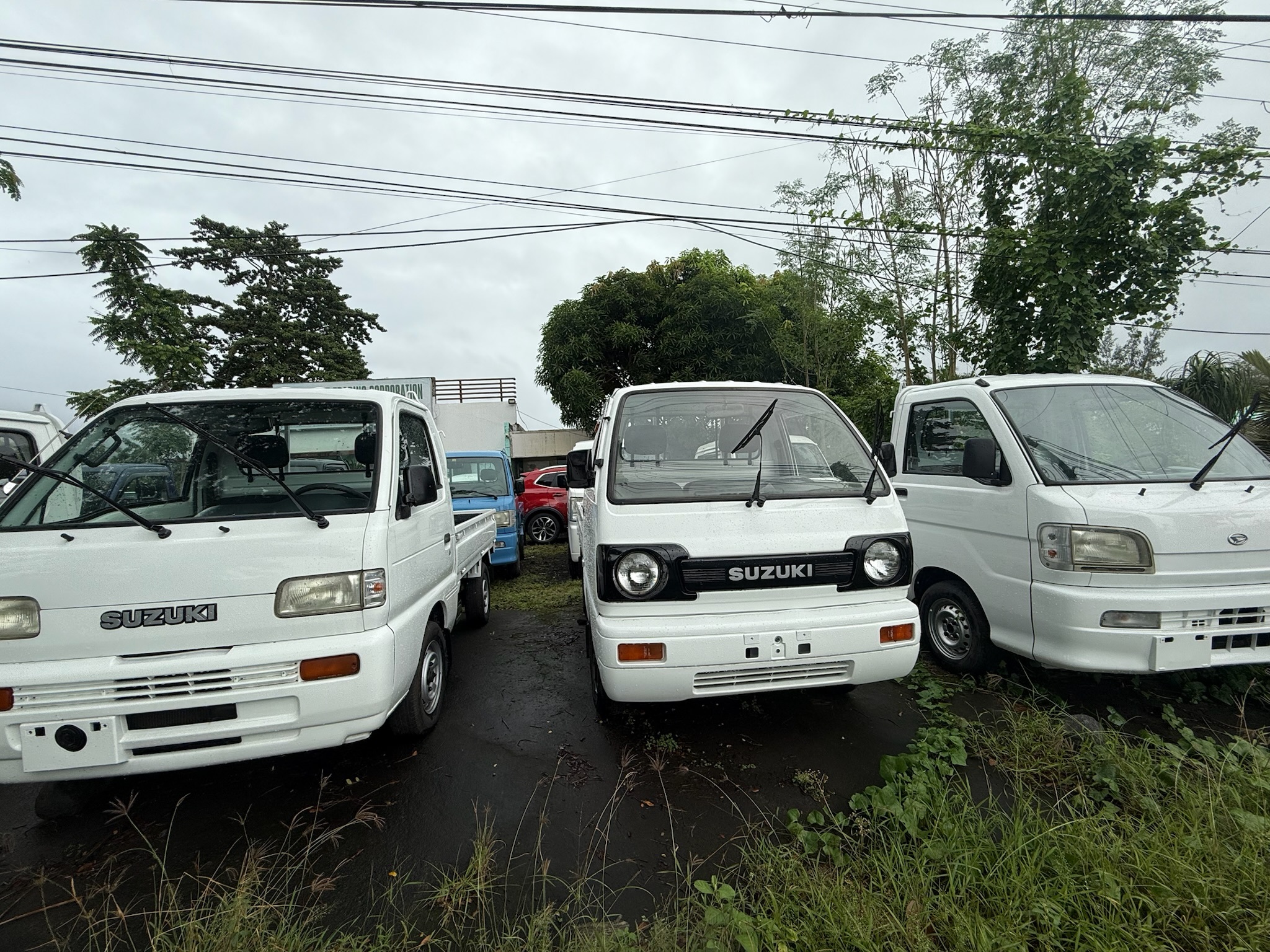 Empowering Local Initiatives